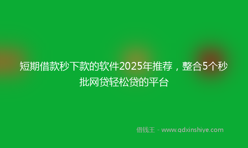 短期借款秒下款的软件2025年推荐，整合5个秒批网贷轻松贷的平台