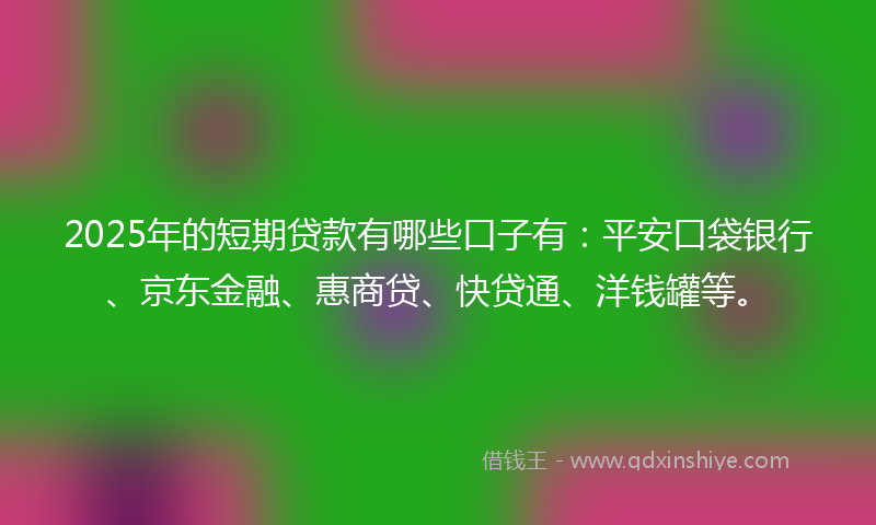 2025年的短期贷款有哪些口子有：平安口袋银行、京东金融、惠商贷、快贷通、洋钱罐等。