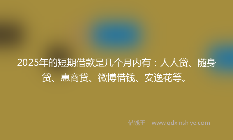 2025年的短期借款是几个月内有：人人贷、随身贷、惠商贷、微博借钱、安逸花等。