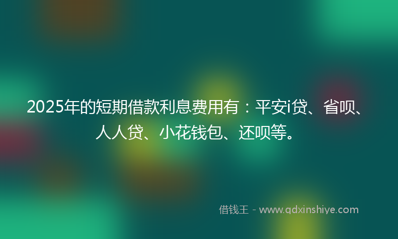 2025年的短期借款利息费用有：平安i贷、省呗、人人贷、小花钱包、还呗等。
