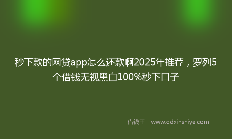 秒下款的网贷app怎么还款啊2025年推荐，罗列5个借钱无视黑白100%秒下口子