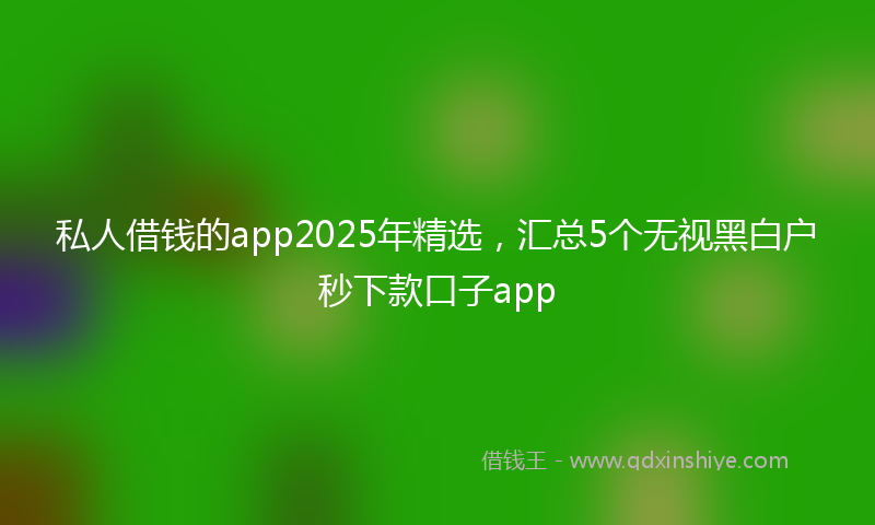 私人借钱的app2025年精选，汇总5个无视黑白户秒下款口子app