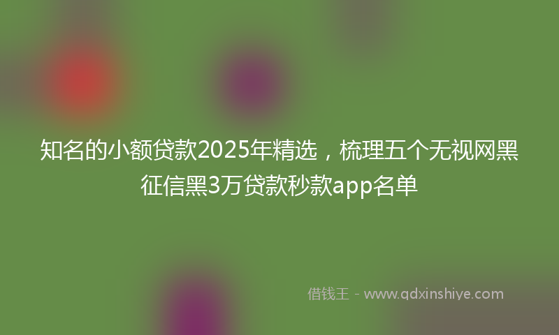 知名的小额贷款2025年精选，梳理五个无视网黑征信黑3万贷款秒款app名单