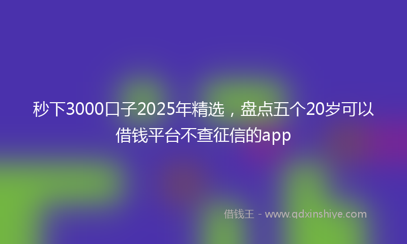 秒下3000口子2025年精选，盘点五个20岁可以借钱平台不查征信的app