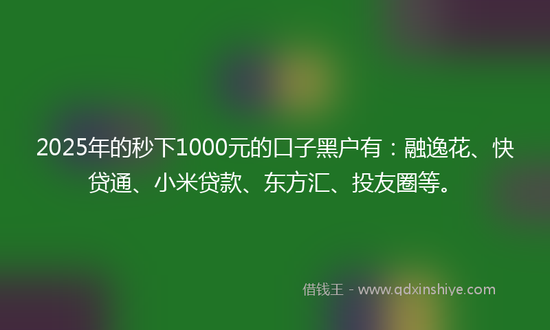 2025年的秒下1000元的口子黑户有：融逸花、快贷通、小米贷款、东方汇、投友圈等。