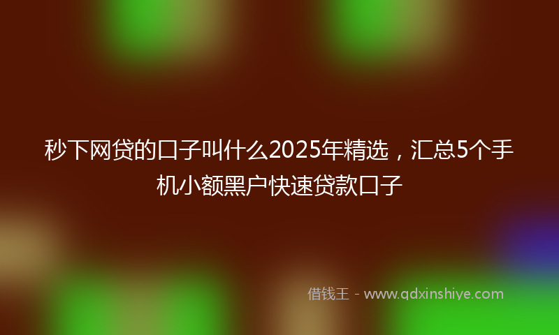 秒下网贷的口子叫什么2025年精选，汇总5个手机小额黑户快速贷款口子