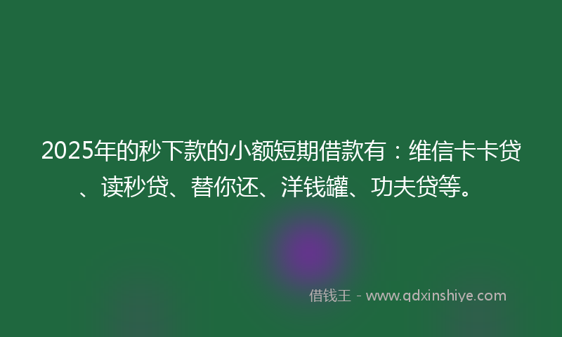 2025年的秒下款的小额短期借款有：维信卡卡贷、读秒贷、替你还、洋钱罐、功夫贷等。