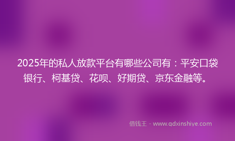 2025年的私人放款平台有哪些公司有：平安口袋银行、柯基贷、花呗、好期贷、京东金融等。