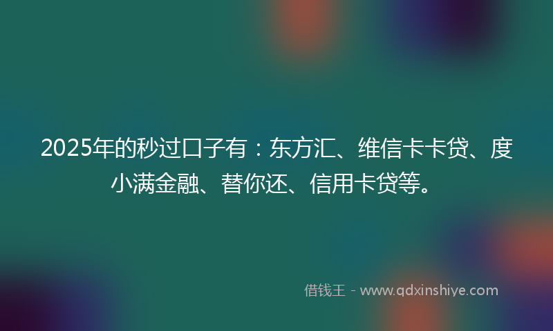 2025年的秒过口子有：东方汇、维信卡卡贷、度小满金融、替你还、信用卡贷等。