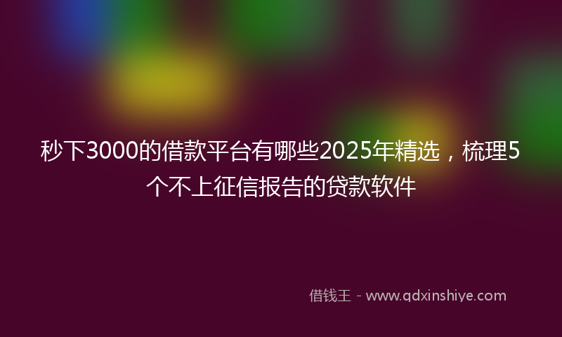 秒下3000的借款平台有哪些2025年精选，梳理5个不上征信报告的贷款软件