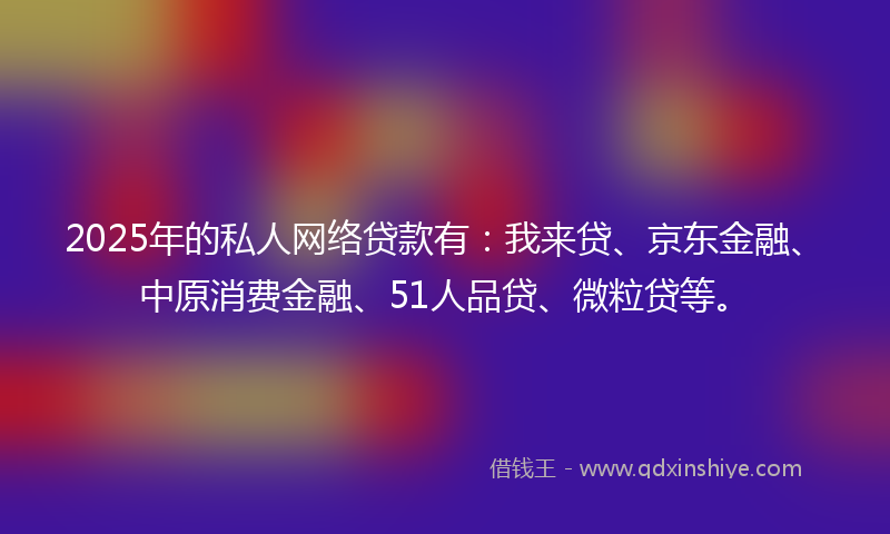 2025年的私人网络贷款有：我来贷、京东金融、中原消费金融、51人品贷、微粒贷等。