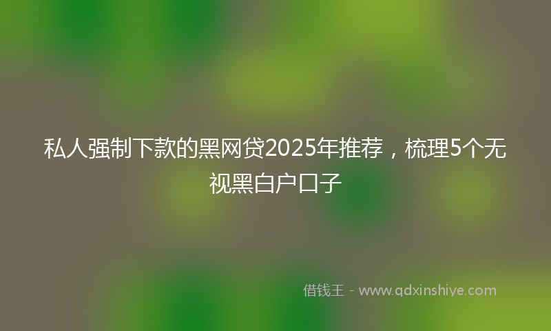 私人强制下款的黑网贷2025年推荐，梳理5个无视黑白户口子
