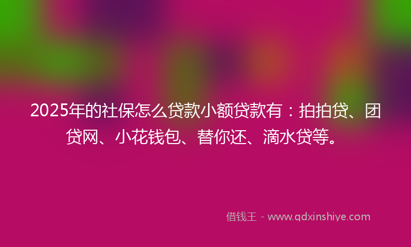 2025年的社保怎么贷款小额贷款有：拍拍贷、团贷网、小花钱包、替你还、滴水贷等。