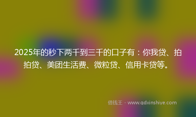 2025年的秒下两千到三千的口子有：你我贷、拍拍贷、美团生活费、微粒贷、信用卡贷等。