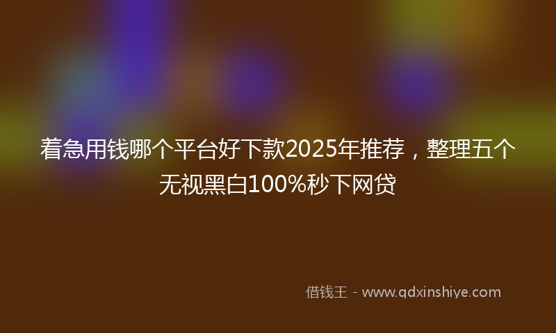 着急用钱哪个平台好下款2025年推荐，整理五个无视黑白100%秒下网贷