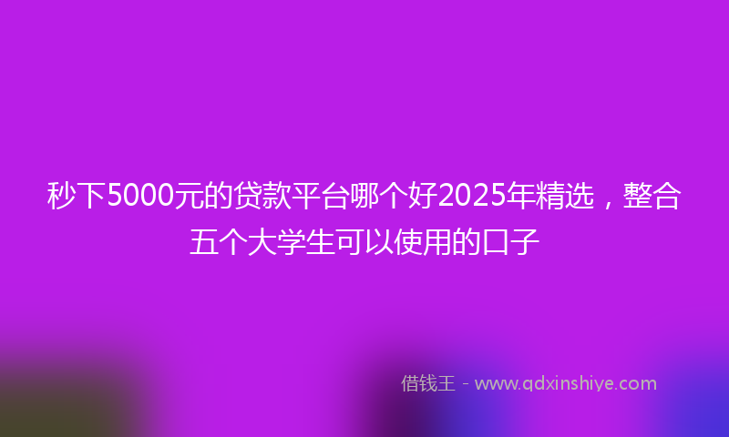 秒下5000元的贷款平台哪个好2025年精选，整合五个大学生可以使用的口子