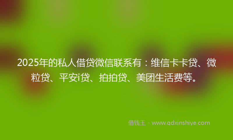 2025年的私人借贷微信联系有：维信卡卡贷、微粒贷、平安i贷、拍拍贷、美团生活费等。