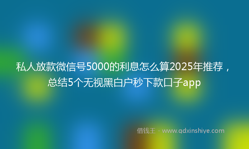 私人放款微信号5000的利息怎么算2025年推荐，总结5个无视黑白户秒下款口子app