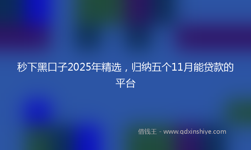 秒下黑口子2025年精选，归纳五个11月能贷款的平台