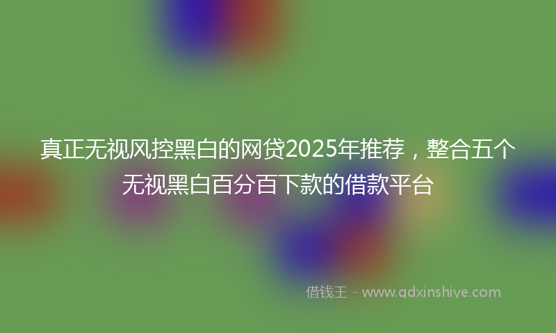 真正无视风控黑白的网贷2025年推荐,整合五个无视黑白百分百下款的借款平台