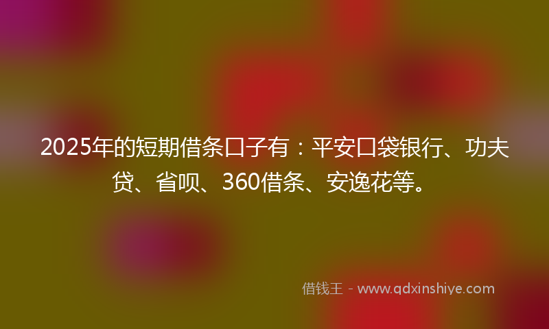 2025年的短期借条口子有：平安口袋银行、功夫贷、省呗、360借条、安逸花等。