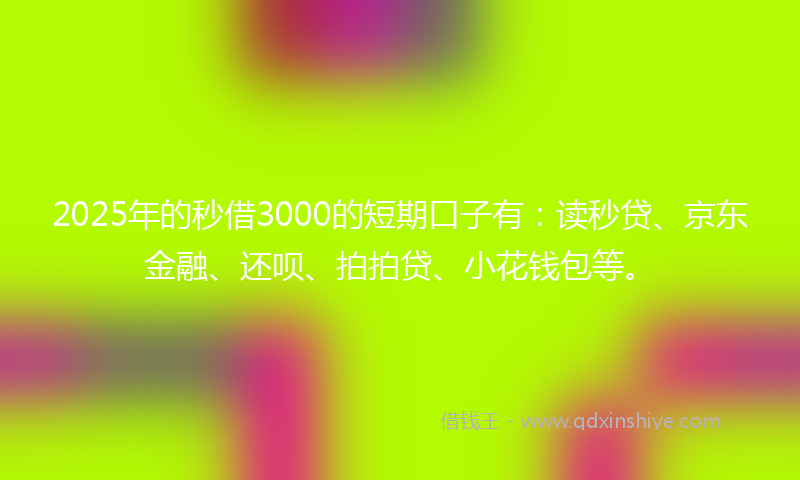 2025年的秒借3000的短期口子有：读秒贷、京东金融、还呗、拍拍贷、小花钱包等。