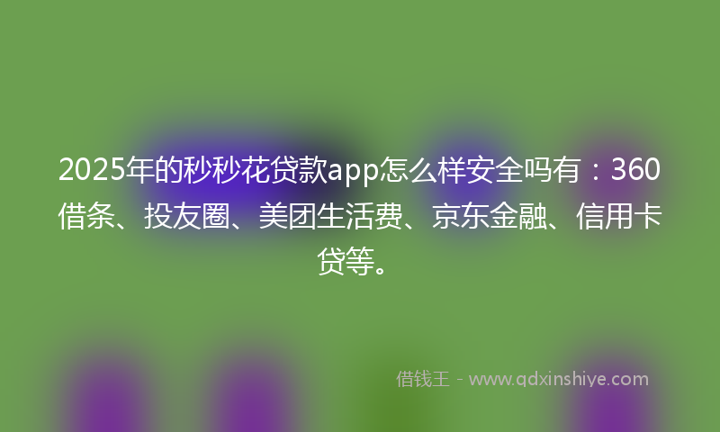 2025年的秒秒花贷款app怎么样安全吗有：360借条、投友圈、美团生活费、京东金融、信用卡贷等。