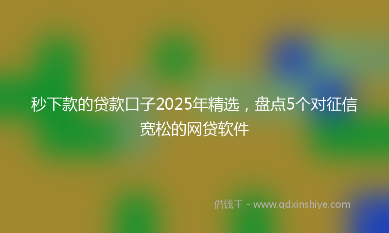 秒下款的贷款口子2025年精选，盘点5个对征信宽松的网贷软件