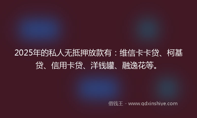 2025年的私人无抵押放款有：维信卡卡贷、柯基贷、信用卡贷、洋钱罐、融逸花等。