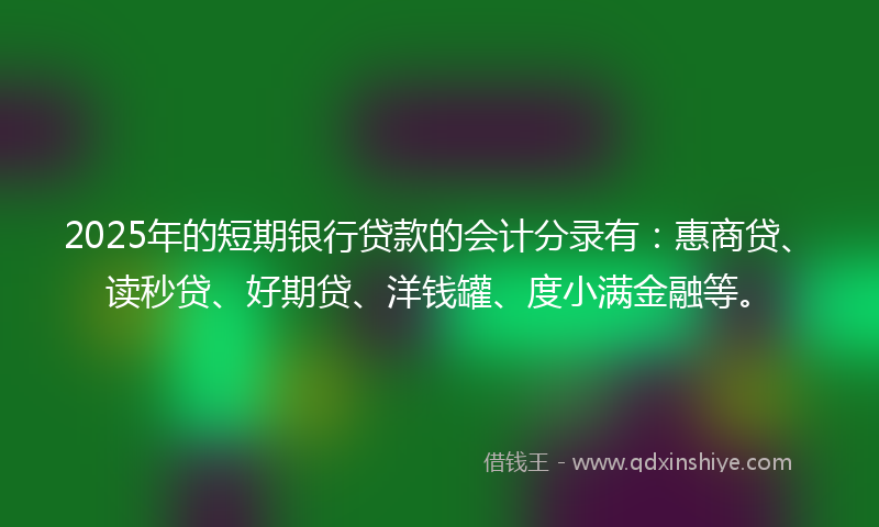 2025年的短期银行贷款的会计分录有：惠商贷、读秒贷、好期贷、洋钱罐、度小满金融等。