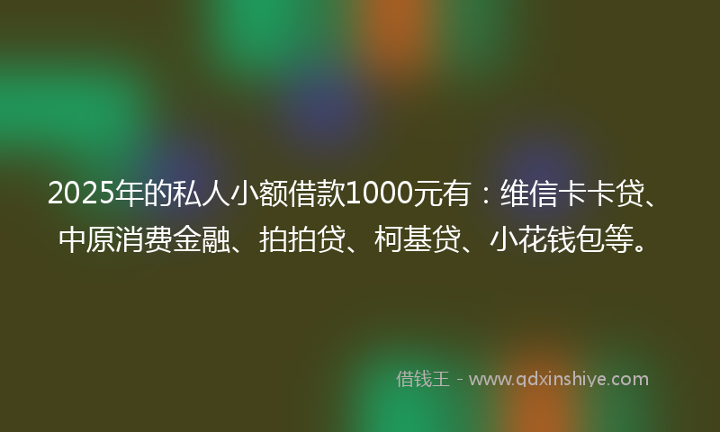 2025年的私人小额借款1000元有:维信卡卡贷、中原消费金融、拍拍贷、柯基贷、小花钱包等。