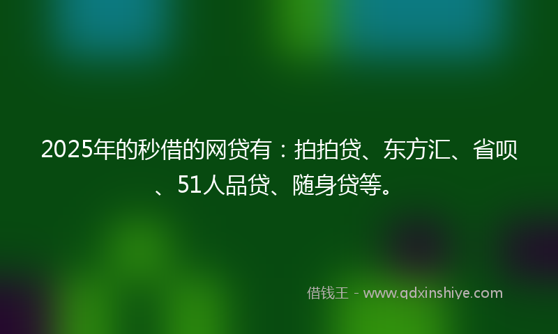 2025年的秒借的网贷有：拍拍贷、东方汇、省呗、51人品贷、随身贷等。