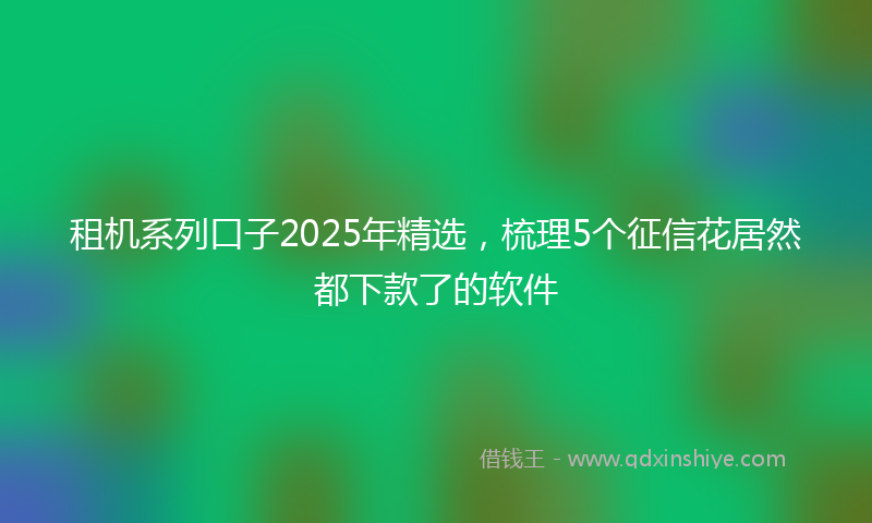 租机系列口子2025年精选，梳理5个征信花居然都下款了的软件
