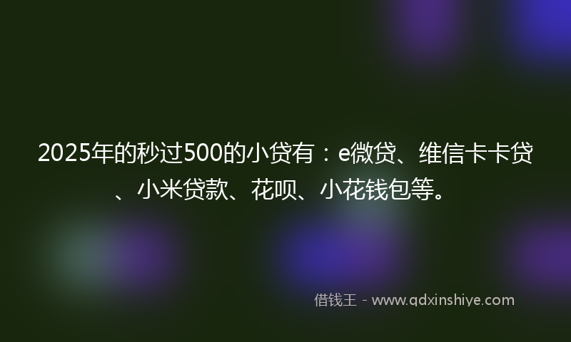 2025年的秒过500的小贷有：e微贷、维信卡卡贷、小米贷款、花呗、小花钱包等。