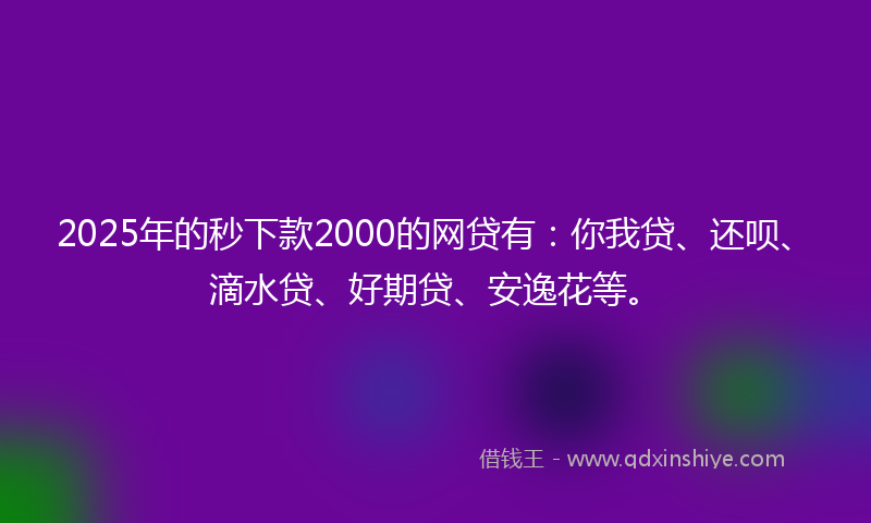 2025年的秒下款2000的网贷有：你我贷、还呗、滴水贷、好期贷、安逸花等。