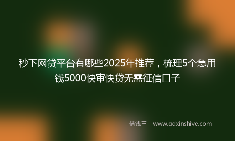 秒下网贷平台有哪些2025年推荐，梳理5个急用钱5000快审快贷无需征信口子