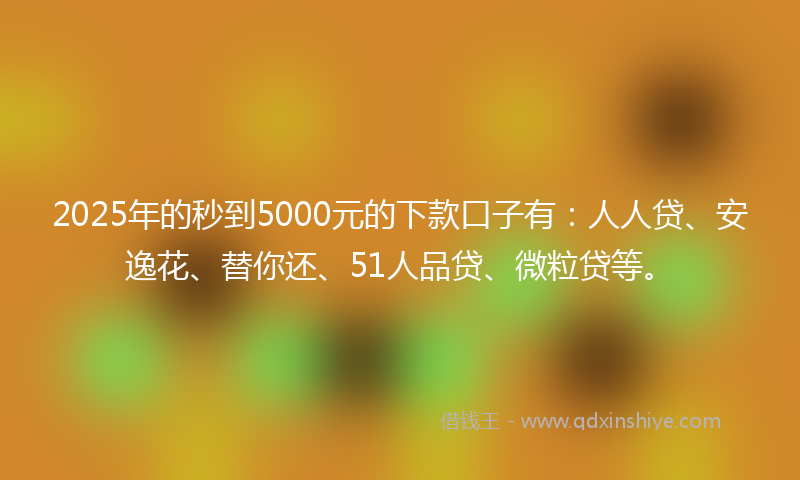 2025年的秒到5000元的下款口子有：人人贷、安逸花、替你还、51人品贷、微粒贷等。
