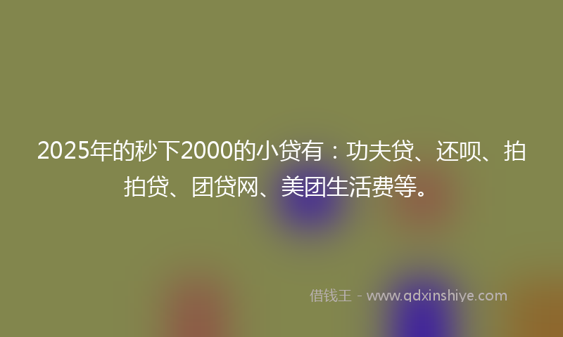 2025年的秒下2000的小贷有：功夫贷、还呗、拍拍贷、团贷网、美团生活费等。