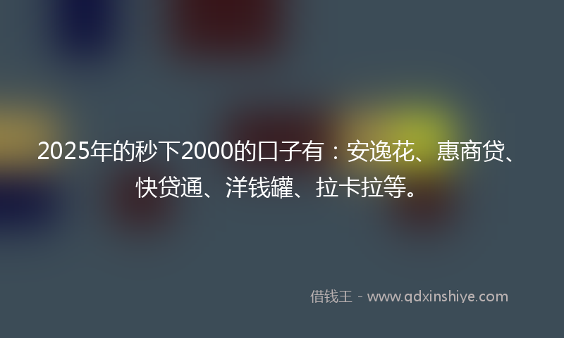 2025年的秒下2000的口子有：安逸花、惠商贷、快贷通、洋钱罐、拉卡拉等。