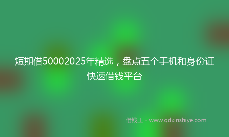 短期借50002025年精选，盘点五个手机和身份证快速借钱平台