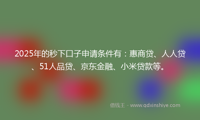 2025年的秒下口子申请条件有：惠商贷、人人贷、51人品贷、京东金融、小米贷款等。
