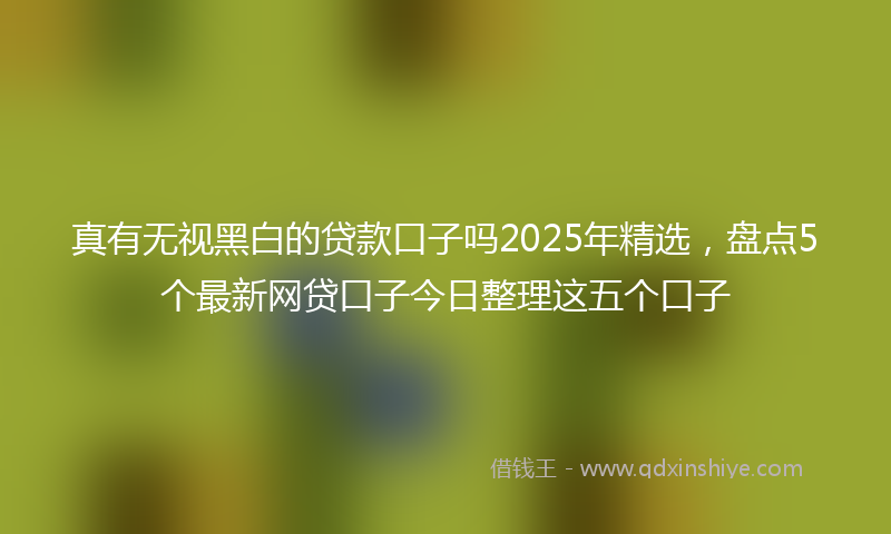 真有无视黑白的贷款口子吗2025年精选，盘点5个最新网贷口子今日整理这五个口子