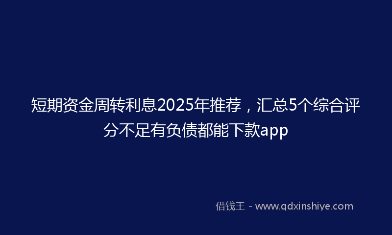 短期资金周转利息2025年推荐，汇总5个综合评分不足有负债都能下款app