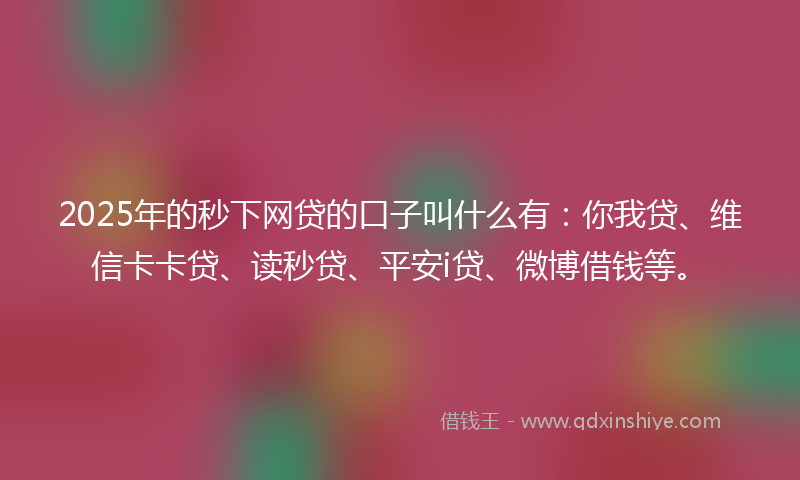 2025年的秒下网贷的口子叫什么有：你我贷、维信卡卡贷、读秒贷、平安i贷、微博借钱等。