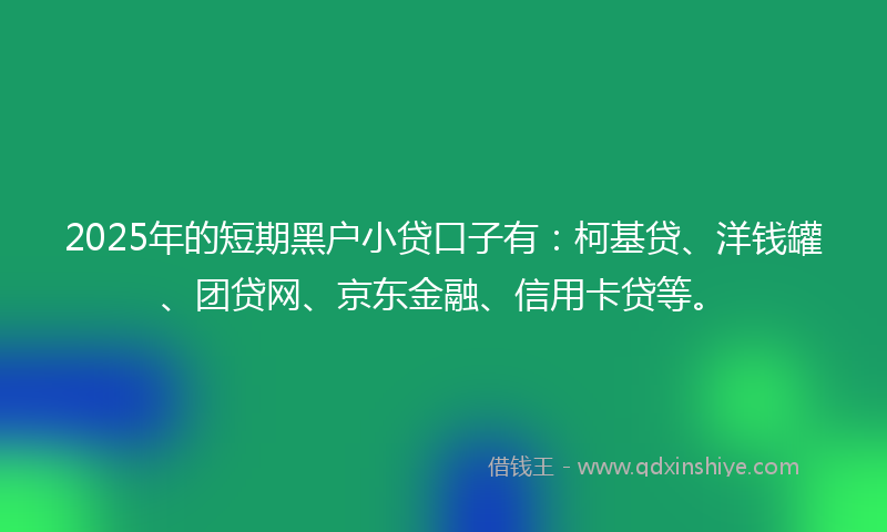 2025年的短期黑户小贷口子有：柯基贷、洋钱罐、团贷网、京东金融、信用卡贷等。