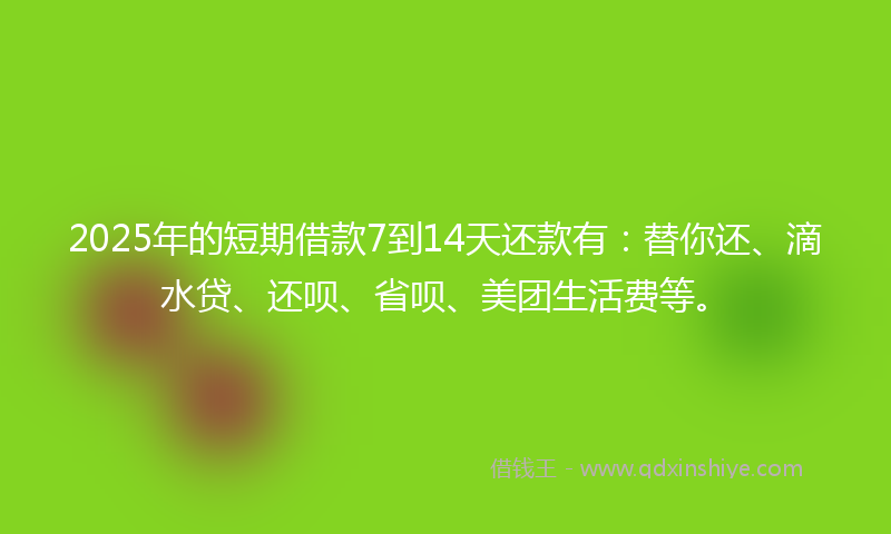 2025年的短期借款7到14天还款有:替你还、滴水贷、还呗、省呗、美团生活费等。