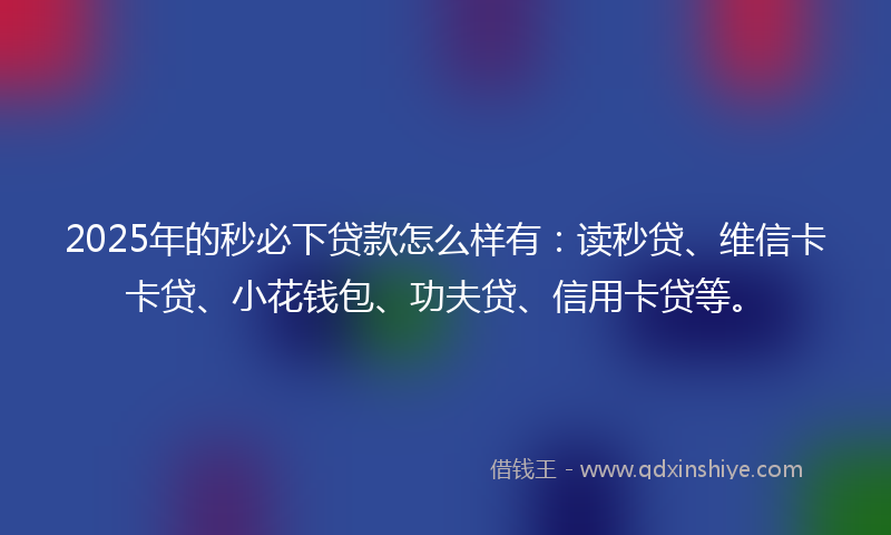 2025年的秒必下贷款怎么样有：读秒贷、维信卡卡贷、小花钱包、功夫贷、信用卡贷等。