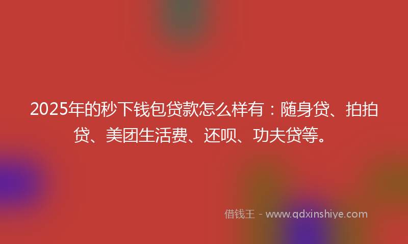 2025年的秒下钱包贷款怎么样有：随身贷、拍拍贷、美团生活费、还呗、功夫贷等。