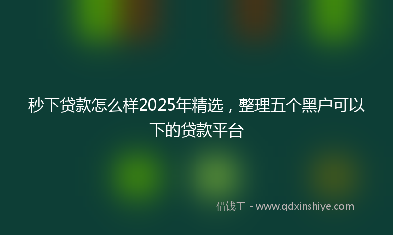 秒下贷款怎么样2025年精选，整理五个黑户可以下的贷款平台