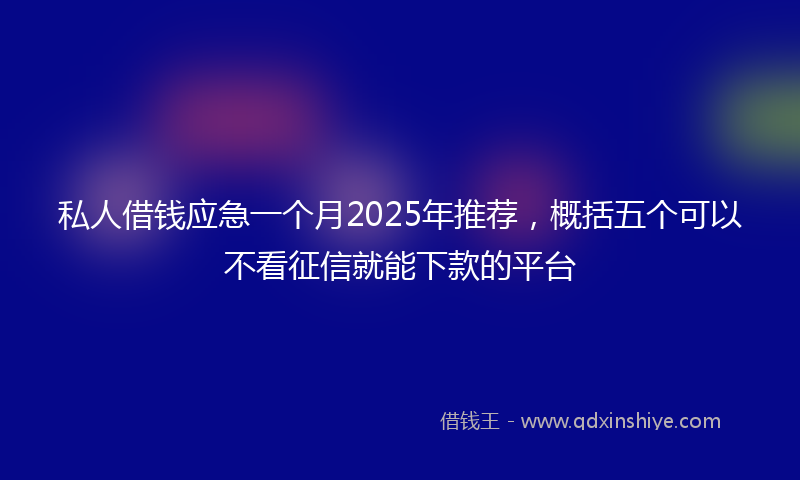 私人借钱应急一个月2025年推荐，概括五个可以不看征信就能下款的平台